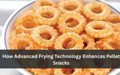 How Advanced Frying Technology Enhances Pellet Snacks
