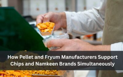 How Pellet and Fryum Manufacturers Support Chips and Namkeen Brands Simultaneously